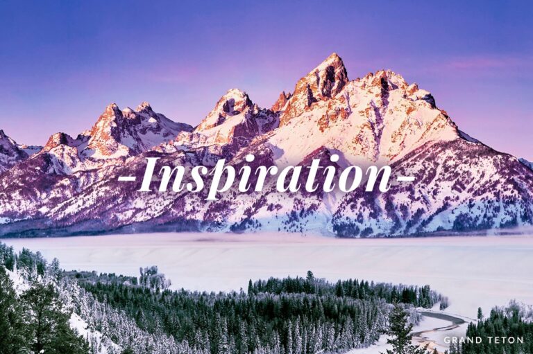 December Newsletter