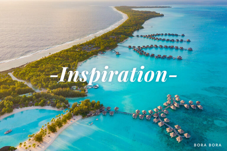 January Newsletter