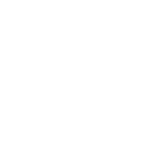 Process - The Vision Process - The Options