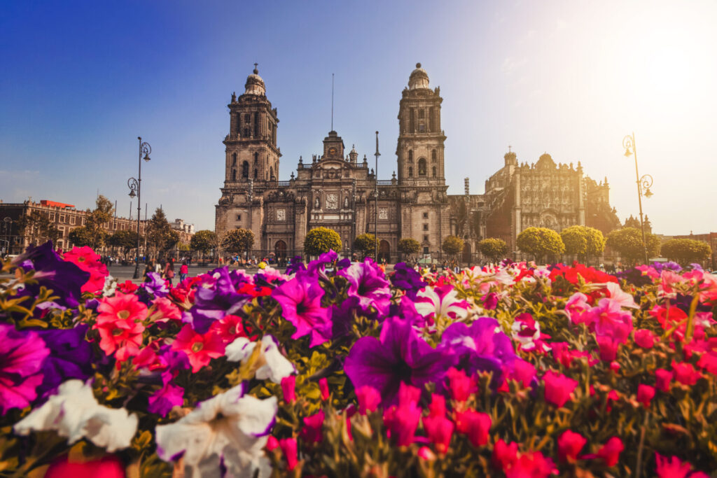 Metropolitan Cathedral Maria de Assunção in Zocalo, Center of
