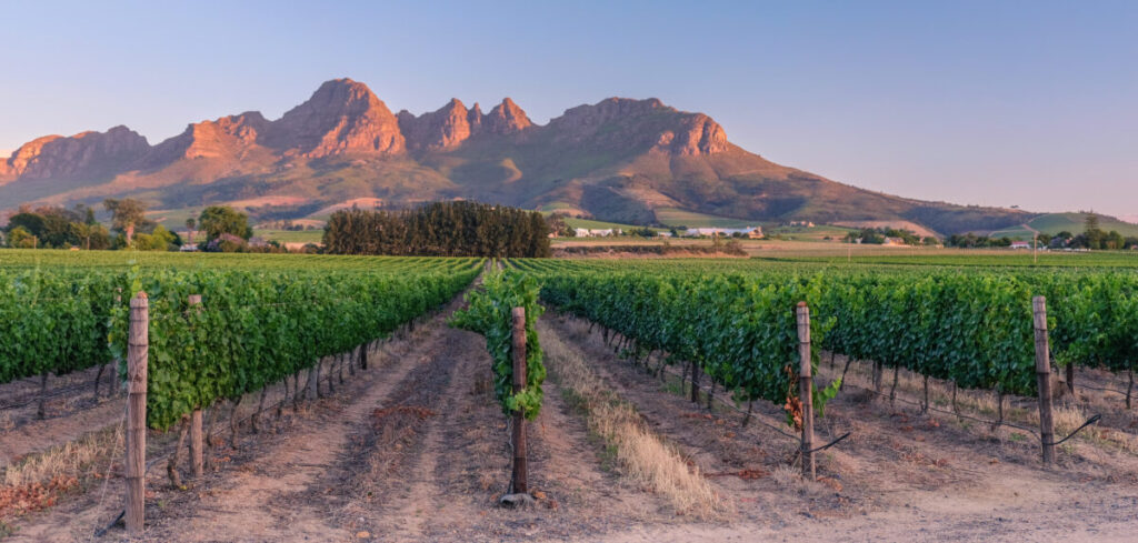 Luxury Travel to South Africa South Africa Vacation -Lifetime Getaways
