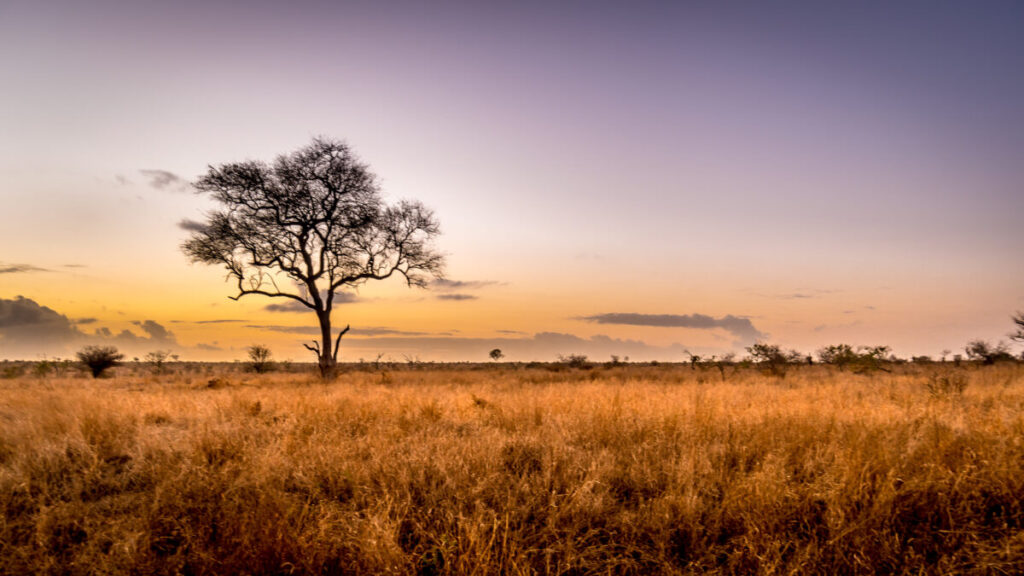 South Africa Vacation -Lifetime Getaways South Africa Vacation -Lifetime Getaways