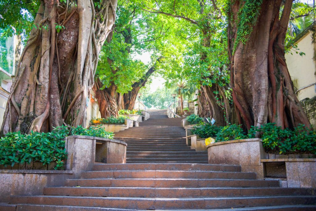 The Public park at Taipa Village