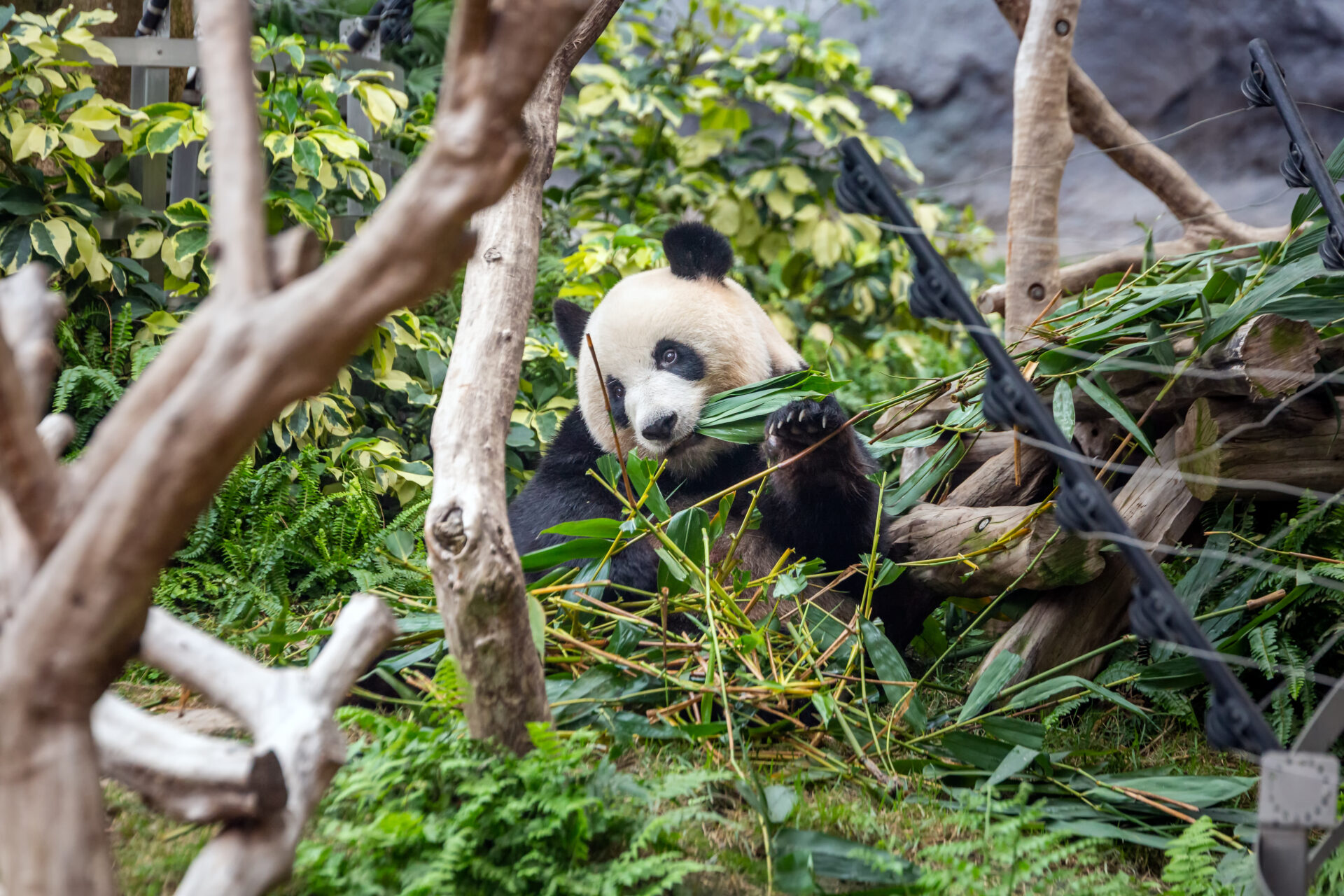 Macau Vacation Travel Advisor