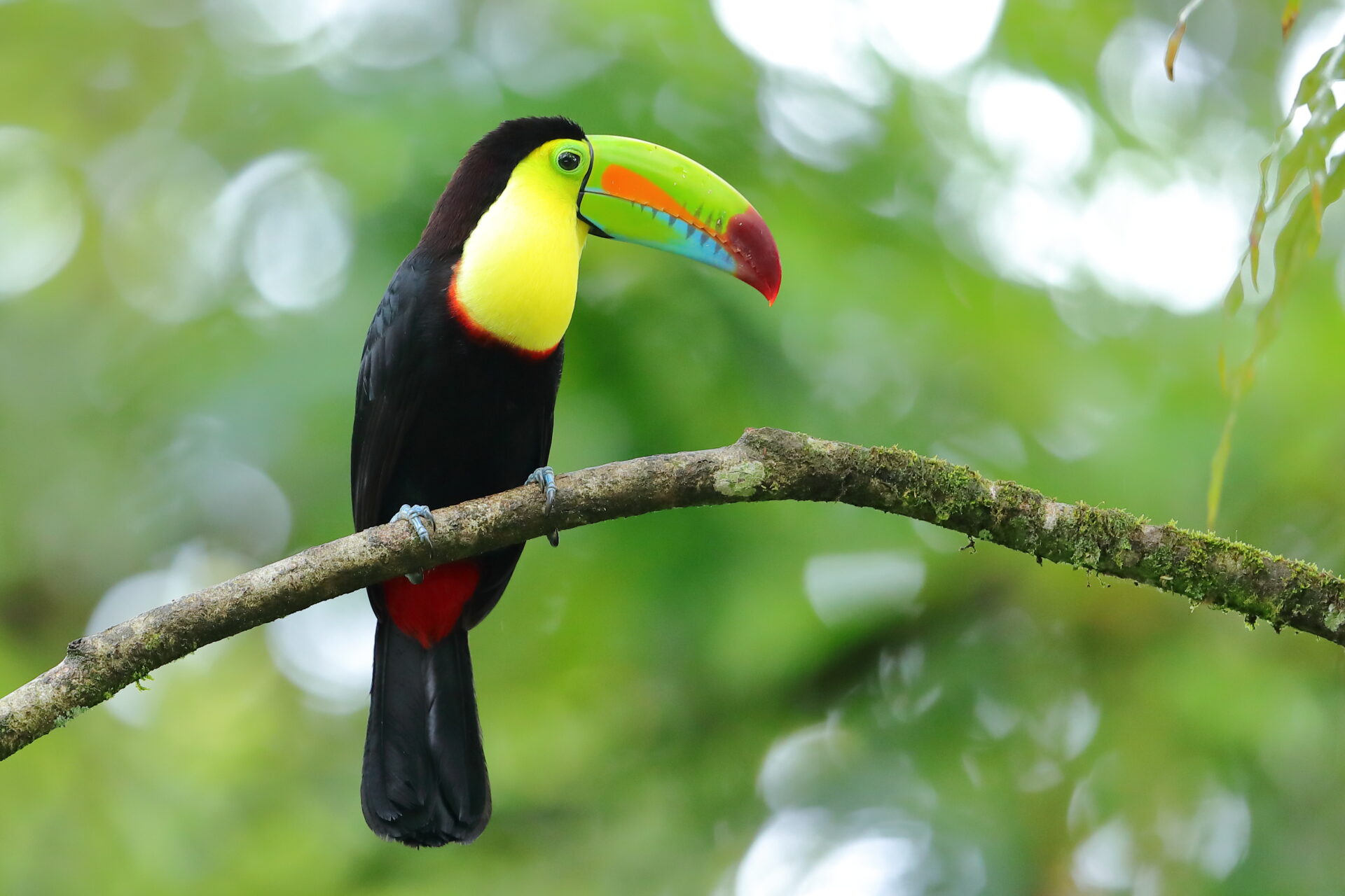 Costa Rica - luxury travel advisor