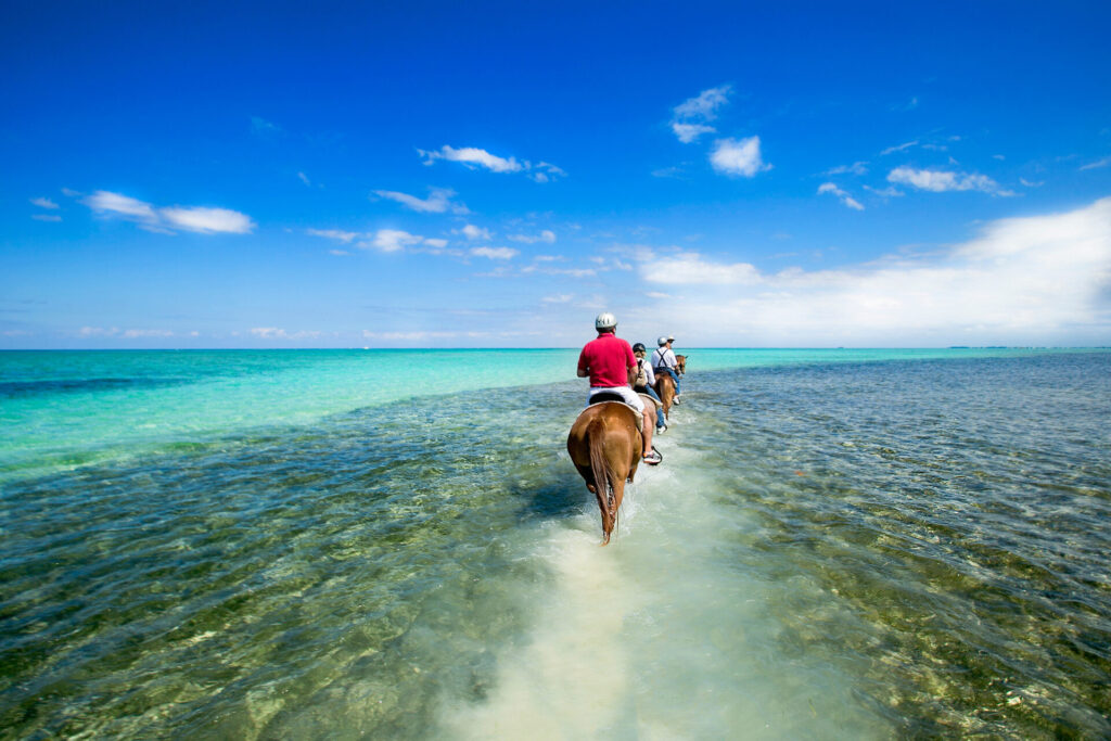 Horse back riding Cayman Islands