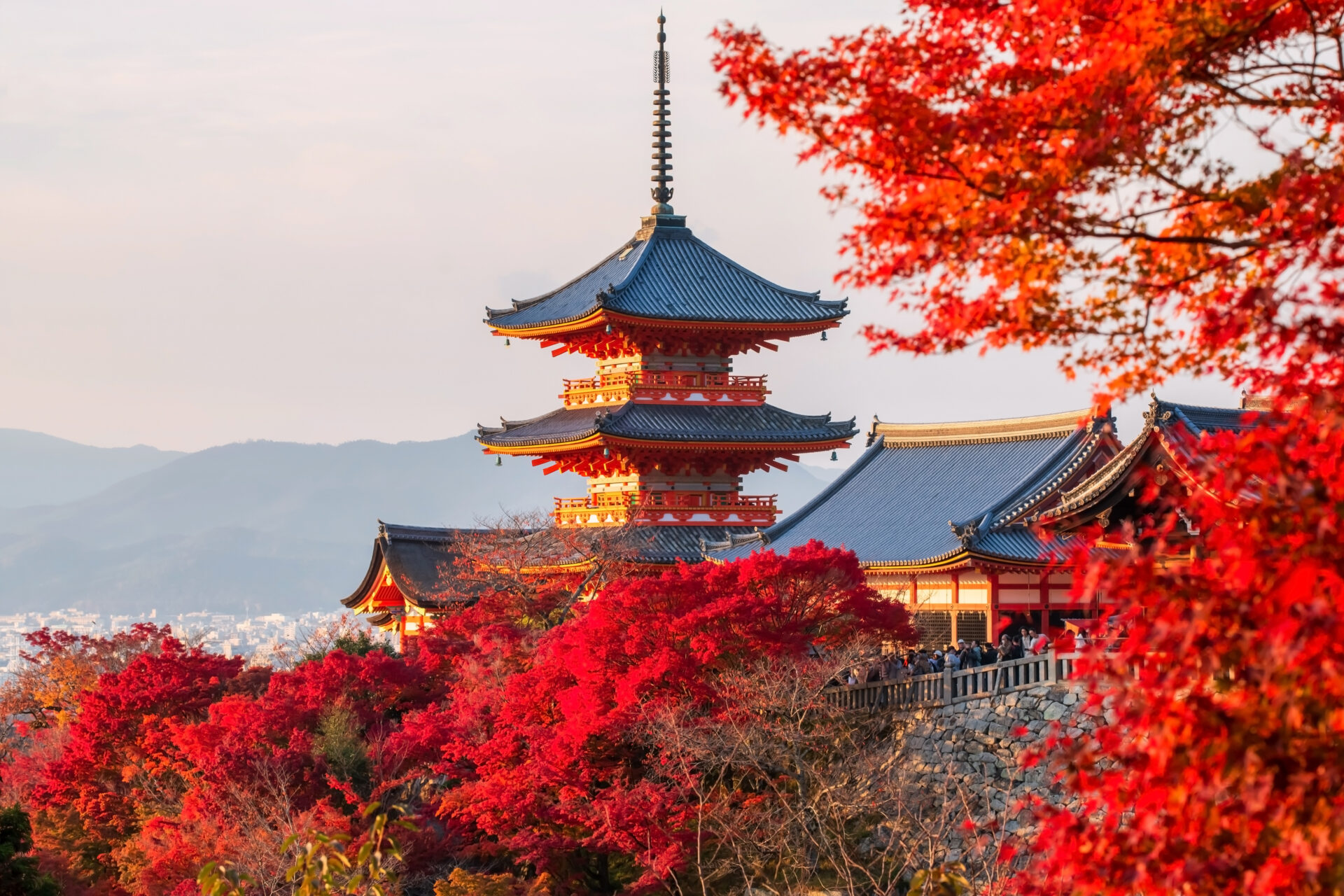 Travel to Kyoto: Luxury travel agent in Grapevine Travel to Kyoto: Luxury travel agent in Grapevine