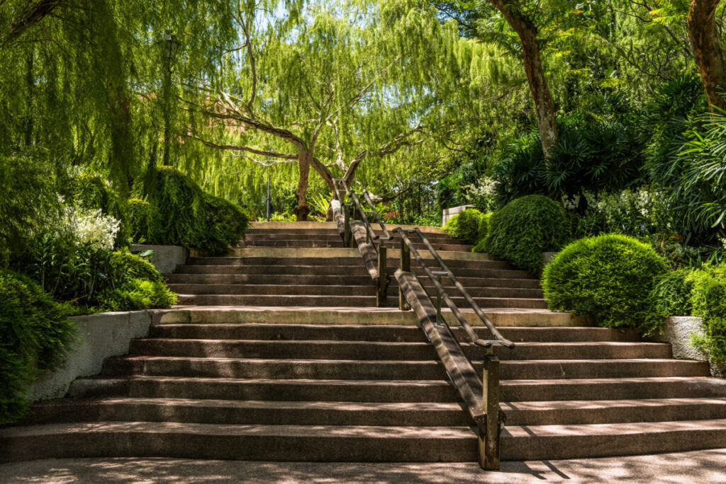 National Orchid Gardens in Singapore