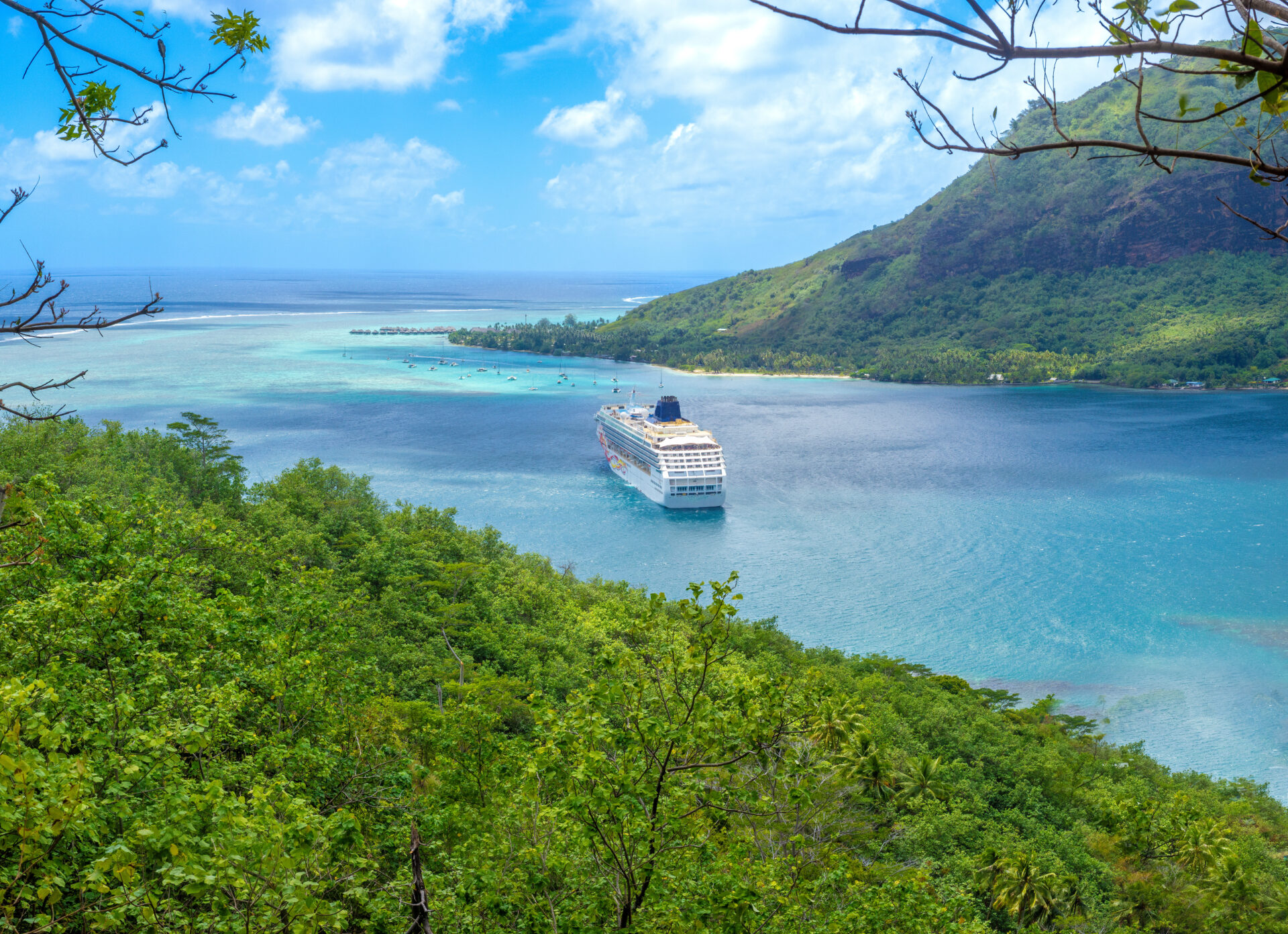 Seabourn Pinnacle Society